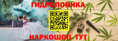 ECSTASY Брянск